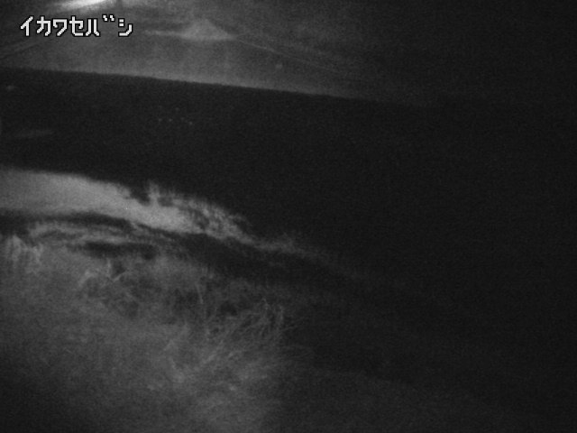 2026年02月15日05時00分の映像