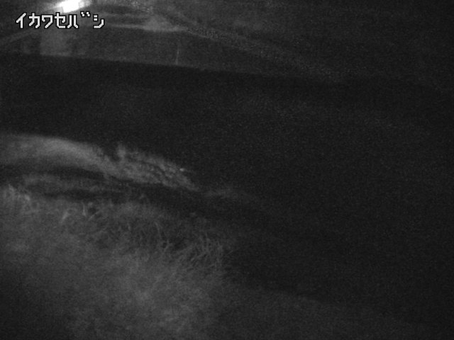 2026年03月31日19時00分の映像