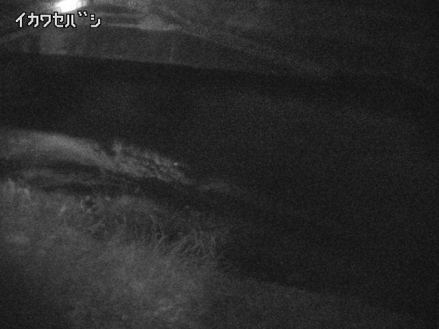 2026年03月31日22時00分の映像