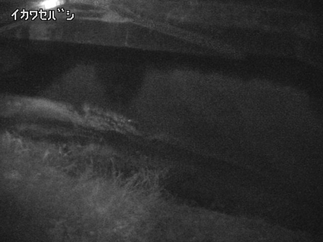 2026年03月31日23時00分の映像