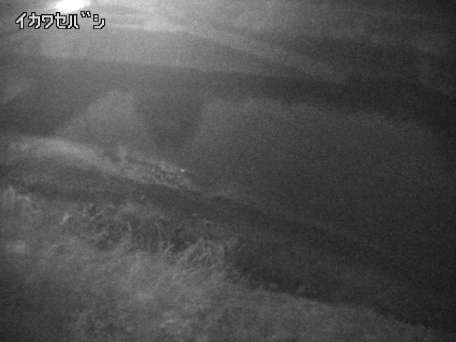 2026年04月01日00時00分の映像