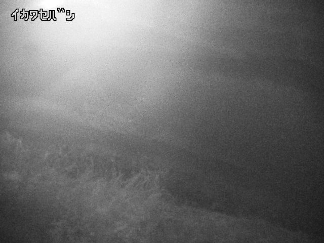 2026年04月01日01時00分の映像