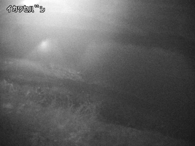 2026年04月01日03時00分の映像