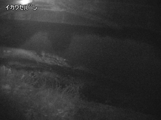 2026年04月01日04時00分の映像