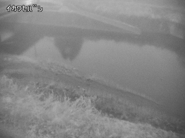 2026年04月01日05時00分の映像