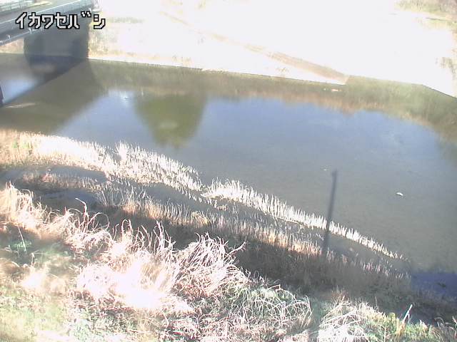 2026年04月01日08時00分の映像