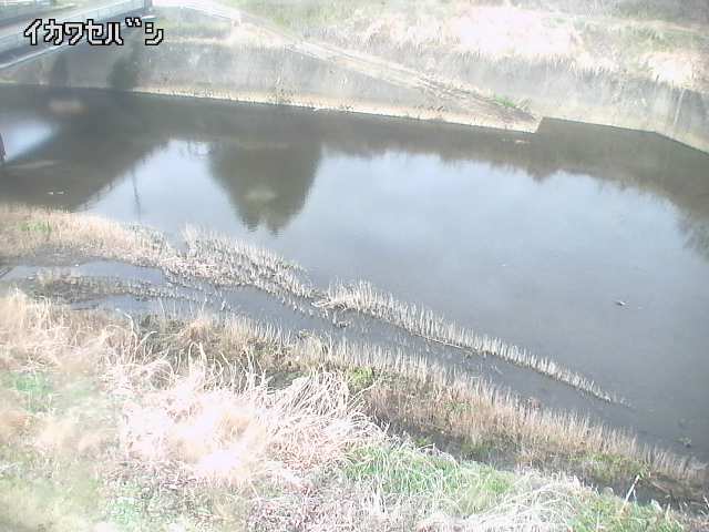 2026年04月01日09時00分の映像