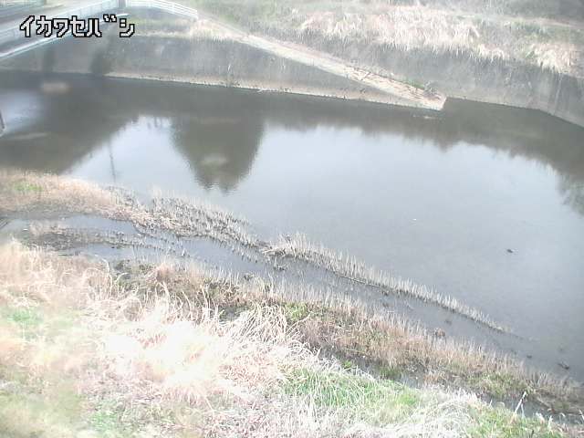 2026年04月01日13時00分の映像