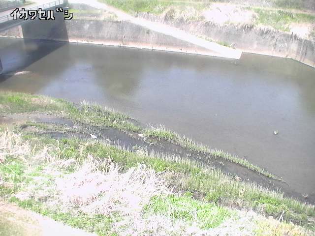 2026年04月19日11時00分の映像