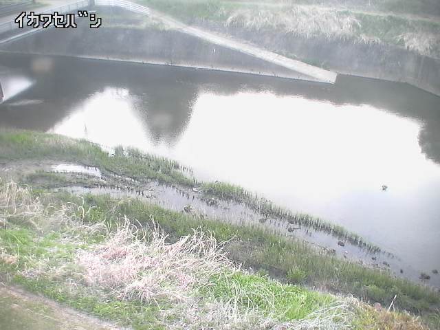 2026年04月19日18時00分の映像