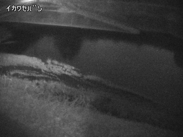 2026年04月19日19時00分の映像