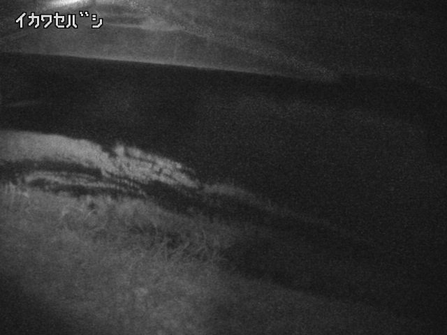 2026年04月19日20時00分の映像