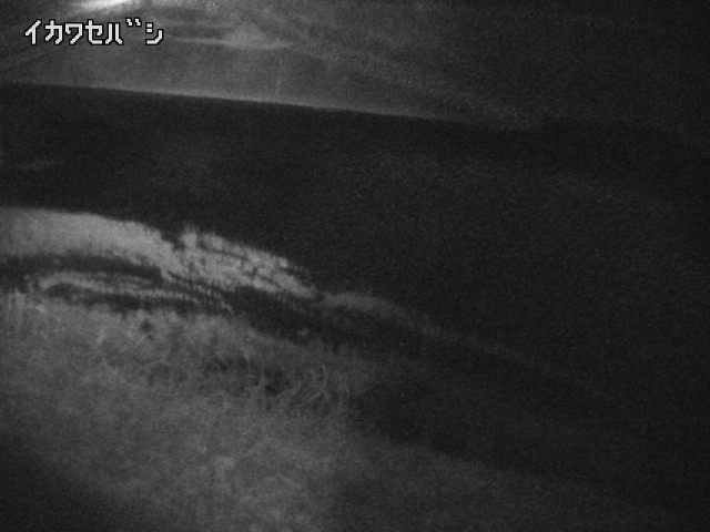 2026年04月19日22時00分の映像