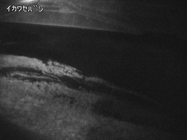2026年04月20日03時00分の映像
