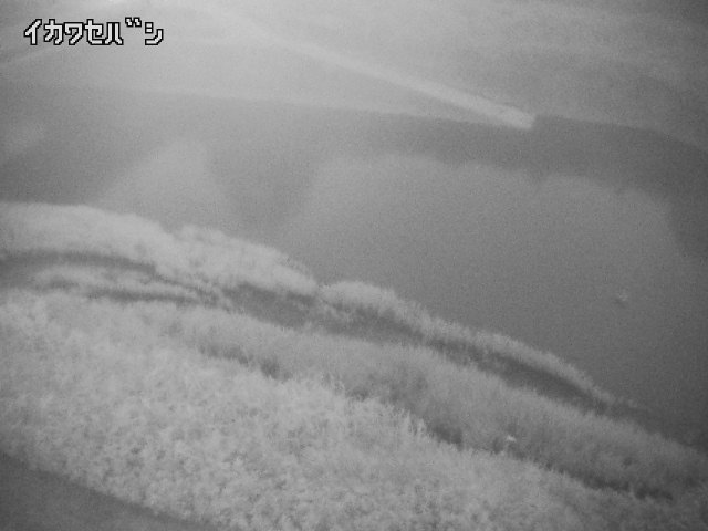 2026年05月16日04時00分の映像