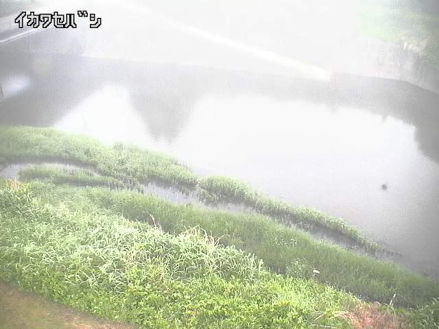 2026年05月16日05時00分の映像