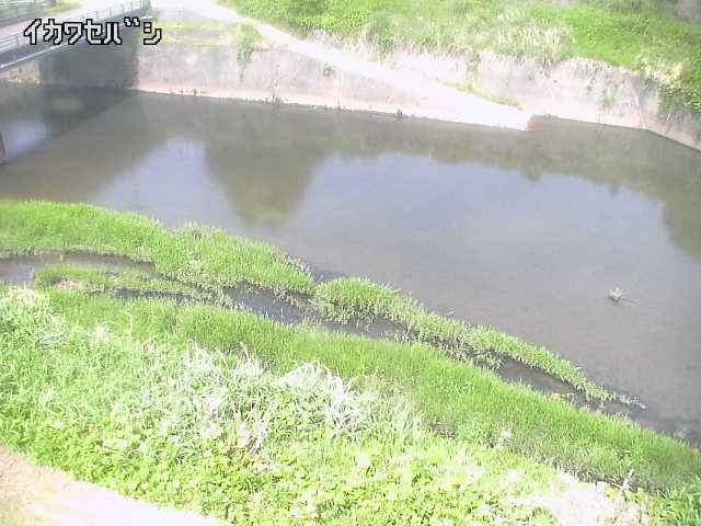 2026年05月16日10時00分の映像