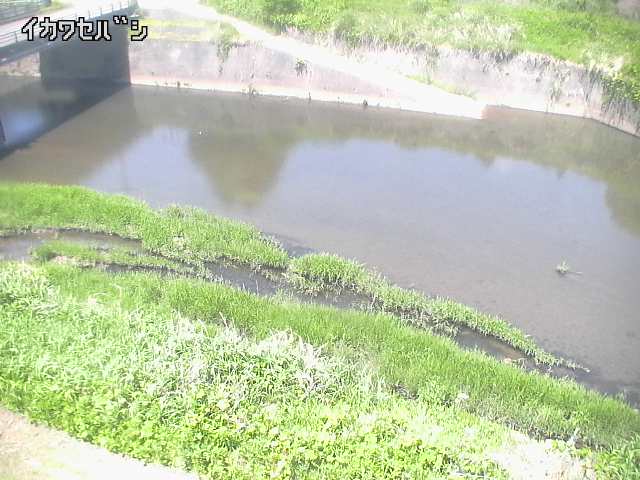 2026年05月16日11時00分の映像