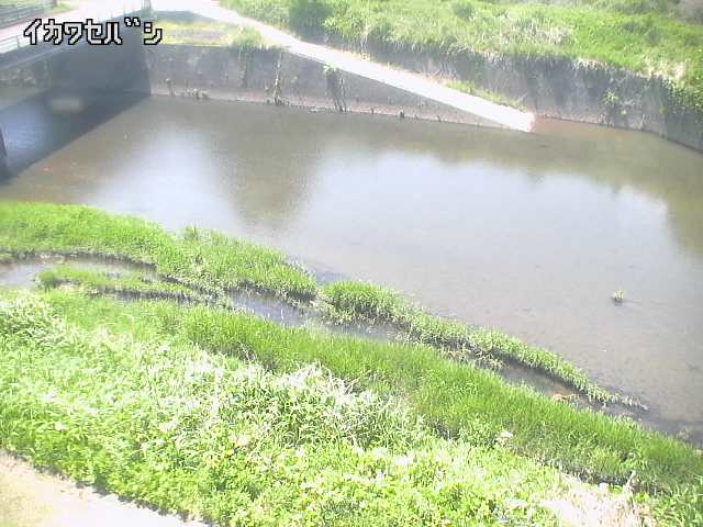 2026年05月16日13時00分の映像