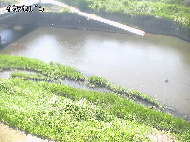 2026年05月16日14時00分の映像