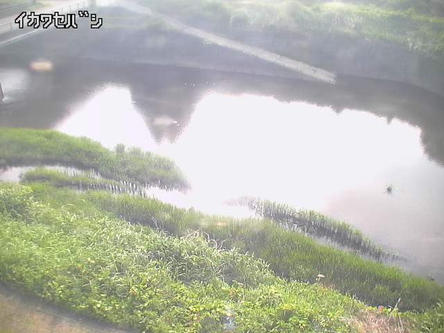 2026年05月16日16時00分の映像