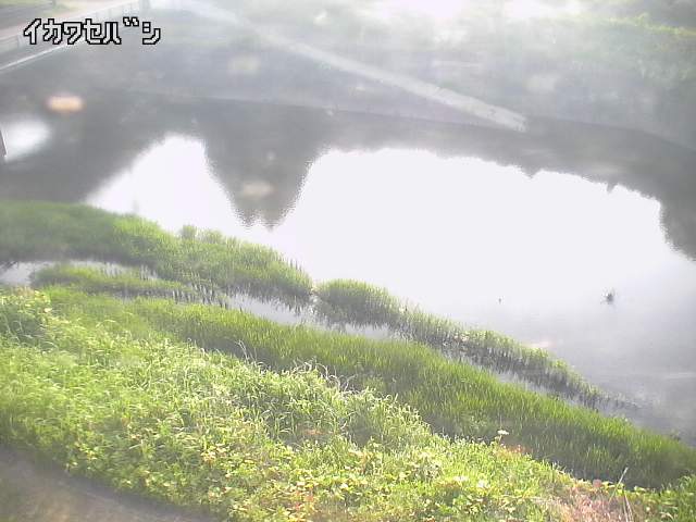 2026年05月16日17時00分の映像