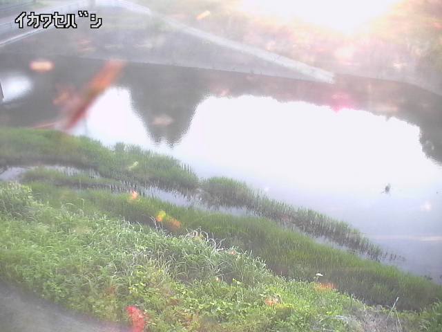 2026年05月16日18時00分の映像
