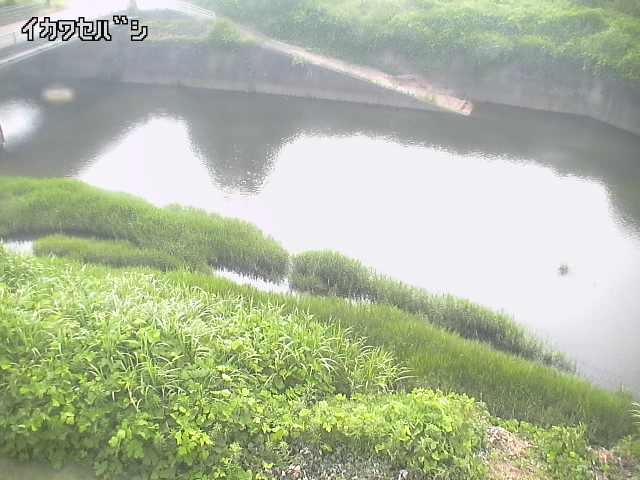 2026年06月30日15時00分の映像