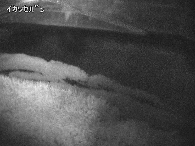 2026年06月30日20時00分の映像