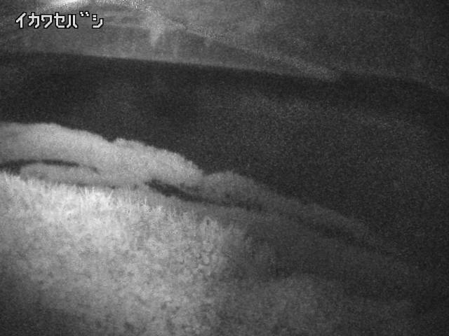 2026年06月30日23時00分の映像