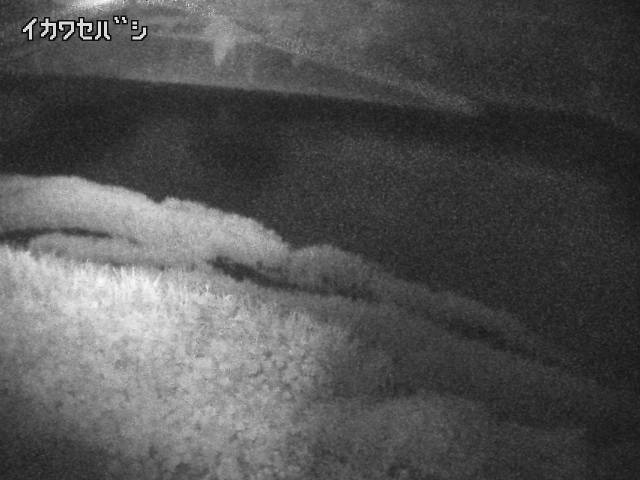 2026年07月01日01時00分の映像