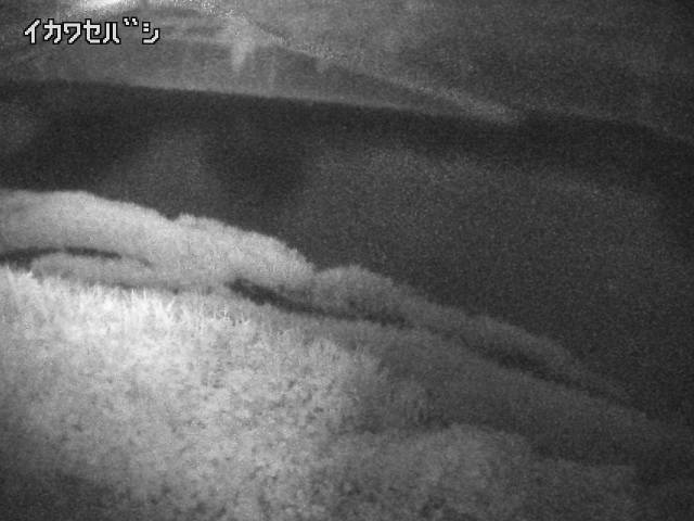 2026年07月01日02時00分の映像