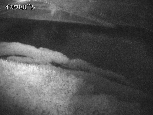 2026年07月01日03時00分の映像