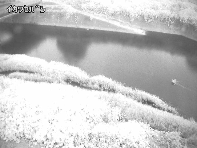 2026年07月01日04時00分の映像