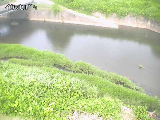 2026年07月01日09時00分の映像