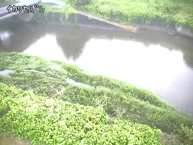 2026年08月15日05時00分の映像