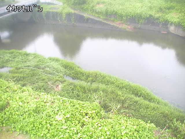 2026年08月15日09時00分の映像