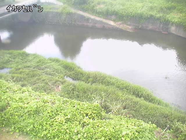 2026年08月15日11時00分の映像
