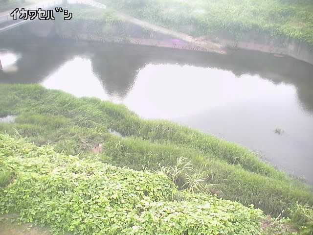 2026年08月15日17時00分の映像