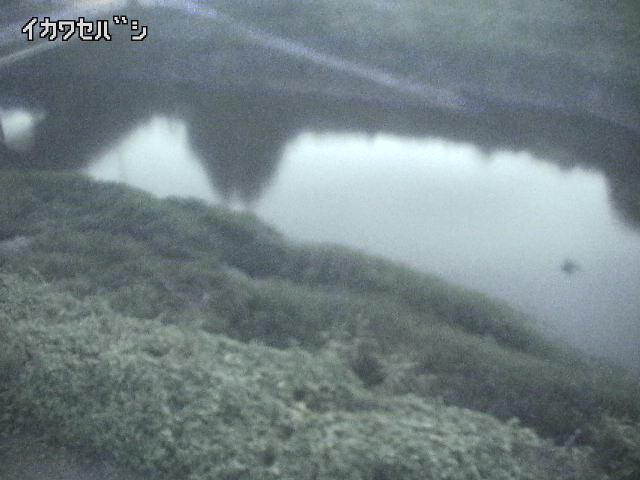2026年08月15日19時00分の映像