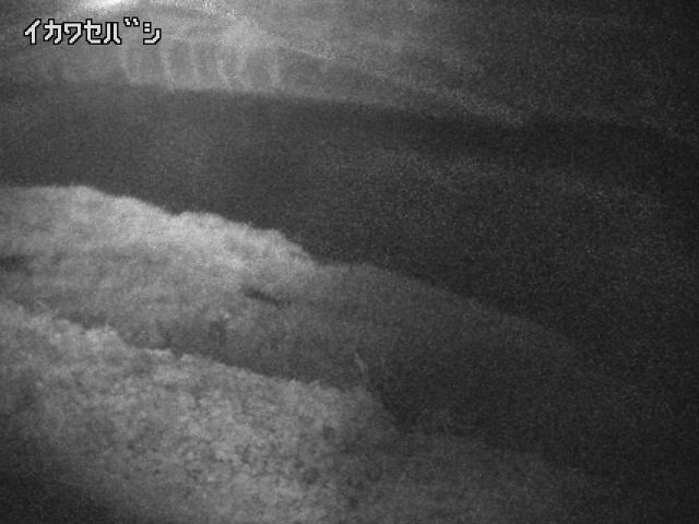 2026年08月16日02時00分の映像