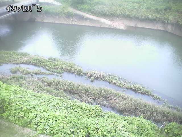 2026年09月30日17時00分の映像