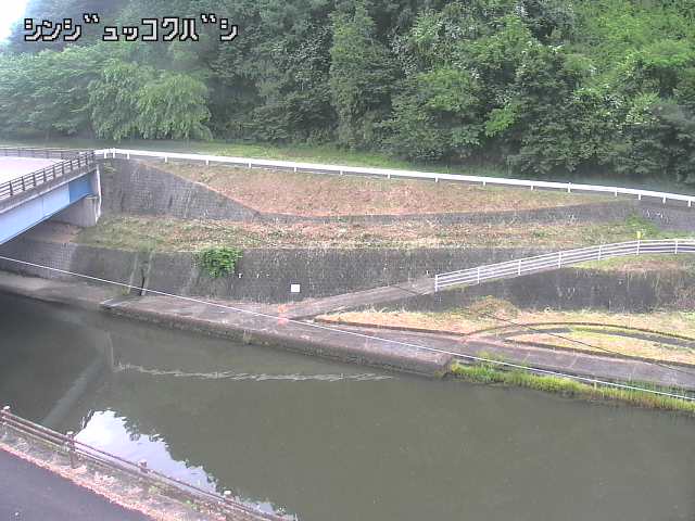 2025年06月16日06時00分の映像