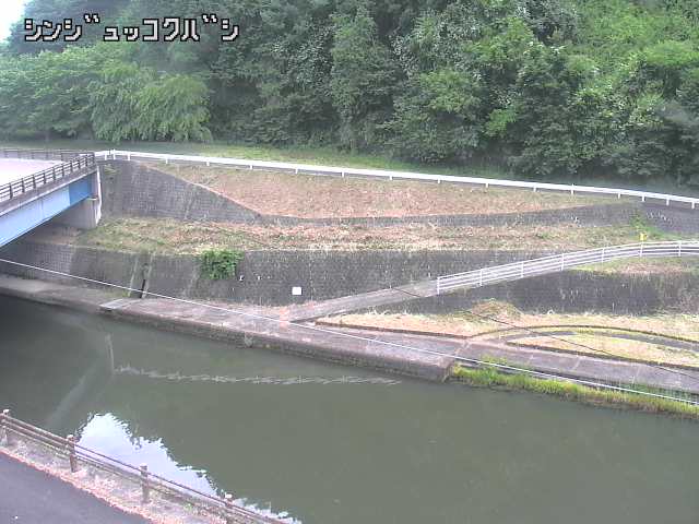 2025年06月16日11時00分の映像