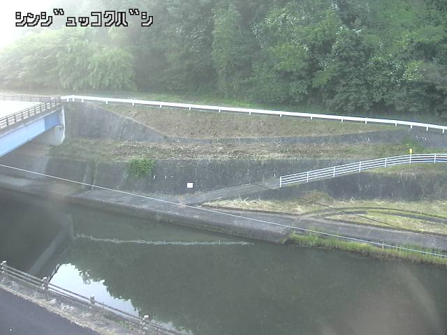 2025年06月17日05時00分の映像
