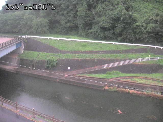 2025年07月10日19時00分の映像