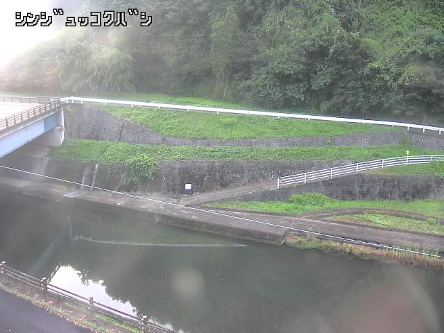 2025年07月11日05時00分の映像