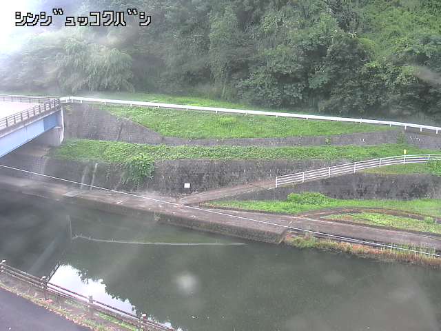 2025年07月11日06時00分の映像