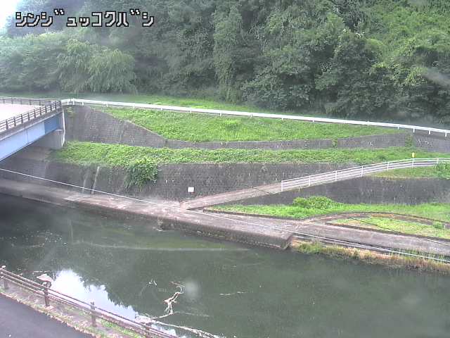 2025年07月11日09時00分の映像