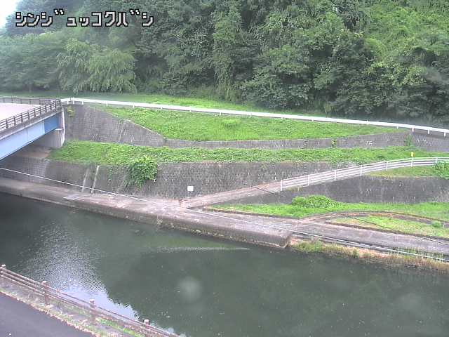 2025年07月11日10時00分の映像